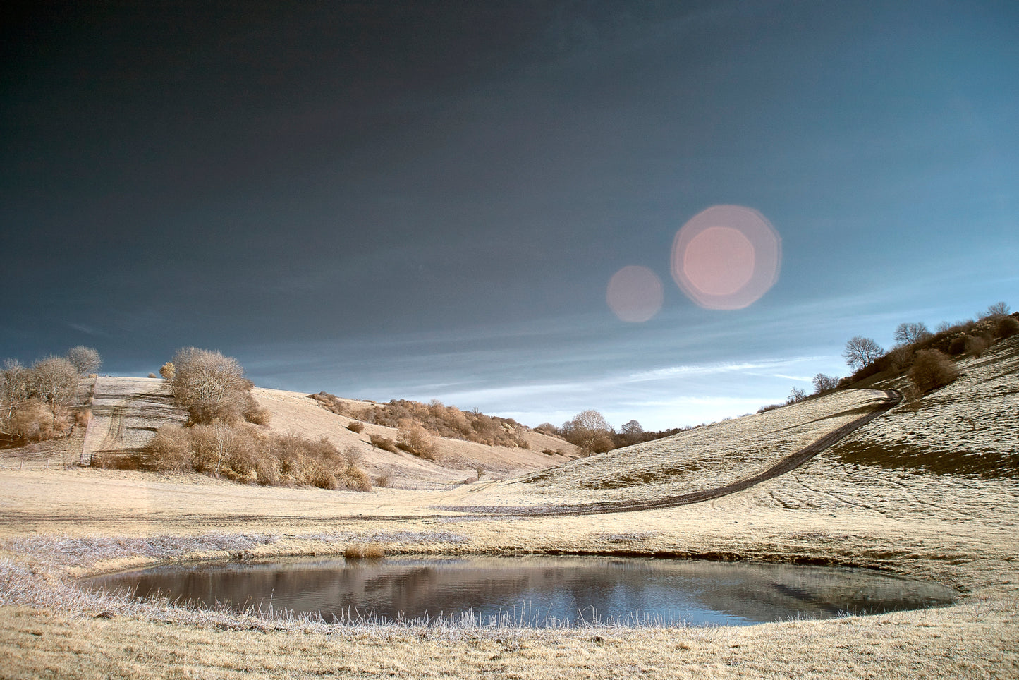 Pond at Stoke Hazel Wood. - Ed Watts Studio