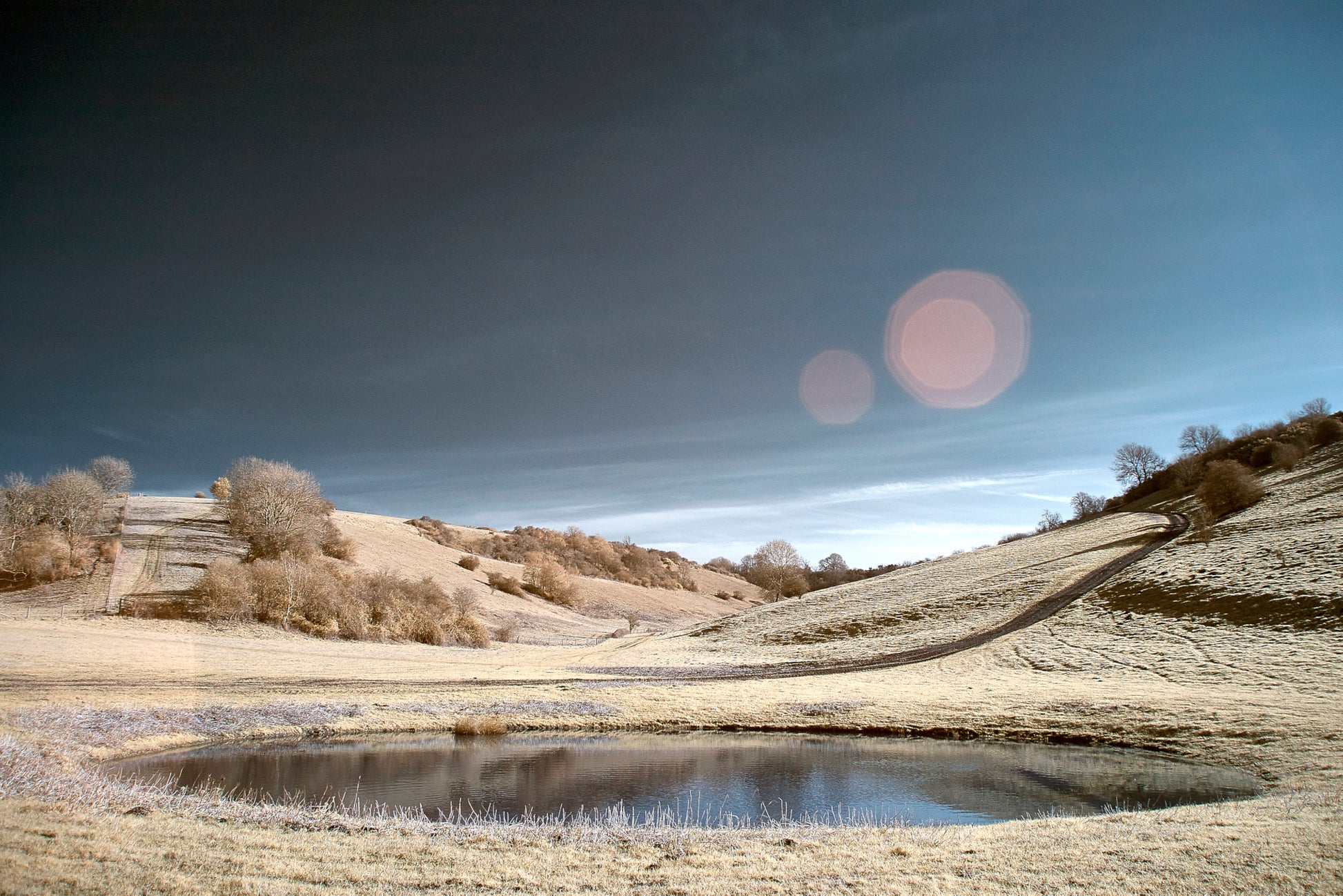 Pond at Stoke Hazel Wood. - Ed Watts Studio