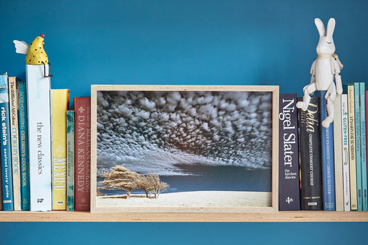 'Fulking Hill Trees' Framed Print