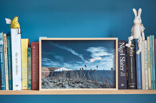 'Teasel Heads, Cuckmere' Framed Print