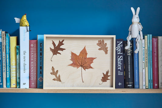 'Untitled' Framed Cyanotype