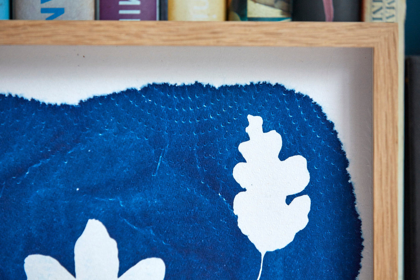 'Untitled' Framed Cyanotype