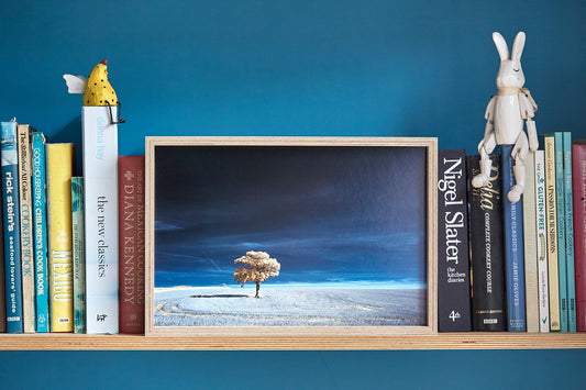 'Kithurst Tree #8' Framed Print