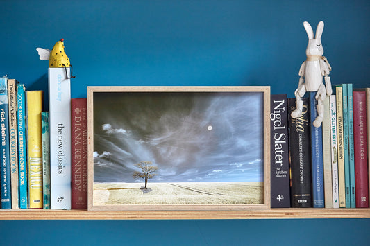 'Kithurst Tree' Framed Print