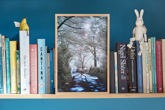 'B3165' Framed Print