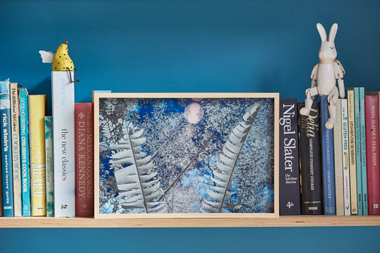 'San Agustin Leaves' Framed Print